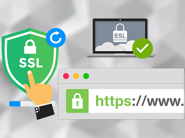 SSL چیست | اهمیت SSL